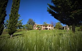 Quelli Del Picchio